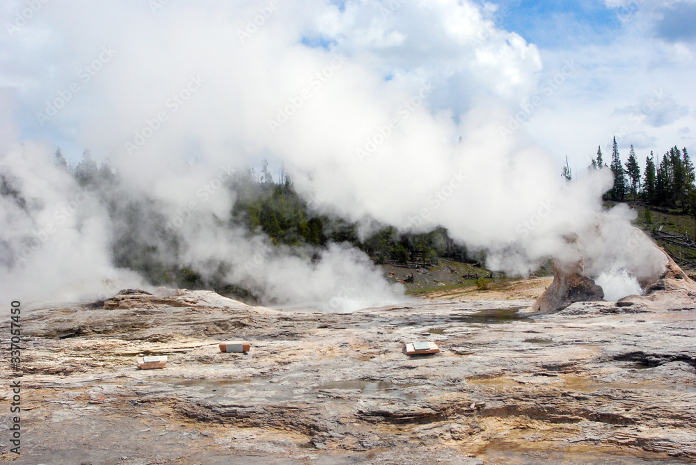Steam spewing from Giant Geyser in Yellowstone National Park's Upper Geyser Basin
