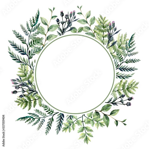 Blades of grass and plant leaves. set of color illustrations on a white