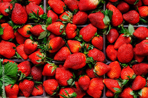 Strawberries in baskets in a wooden box top view . The concept of a healthy diet, vegetarian. Fresh ripe strawberries in a box. A group of boxes with fresh strawberries. Close-up.