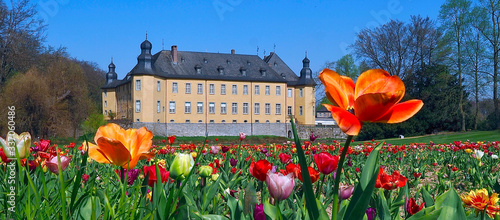 Fotografie Castle of Schloss Dck in Juechen in spring