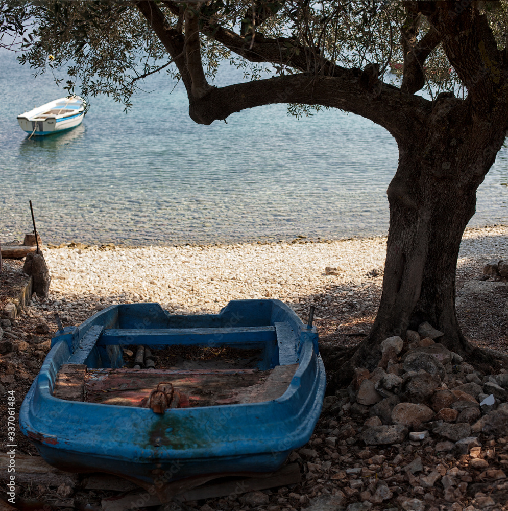 Fototapeta premium boat on the shore of a forest lake