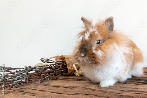 Easter bunny with a bouquet of fluffy willow on a wooden table. Copy space