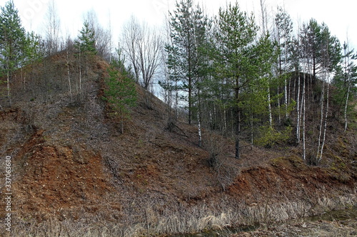 A unique image of the spring nature of central Russia in April