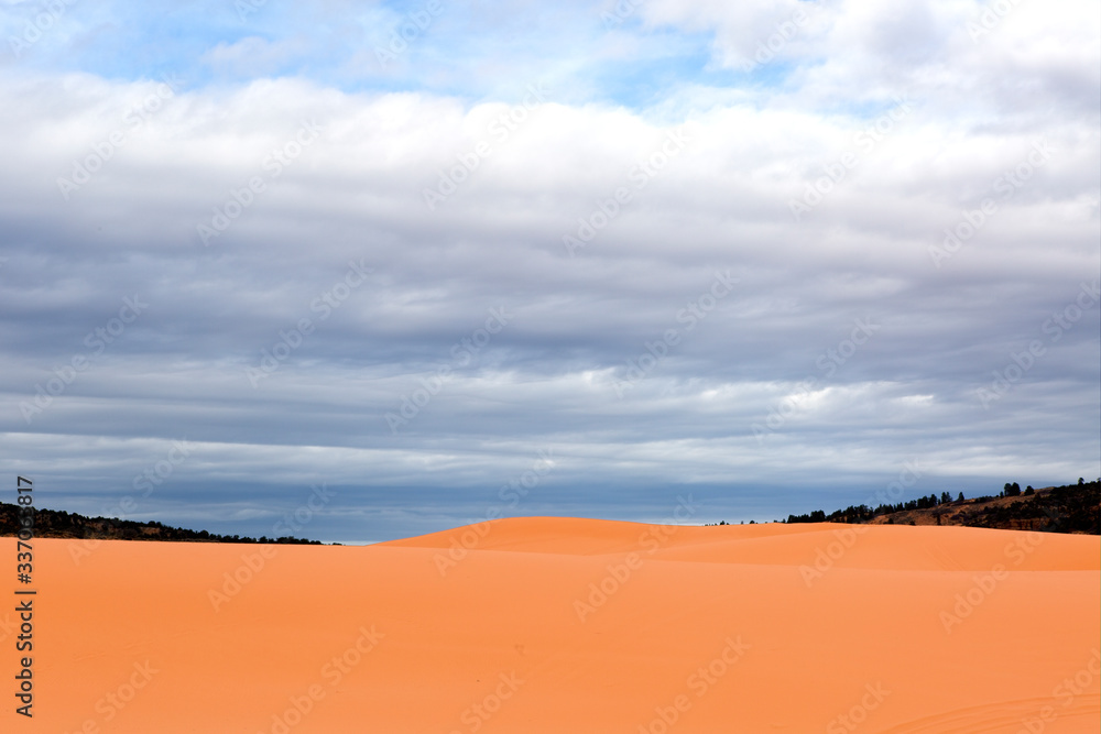 Coral Pink Sand Dunes