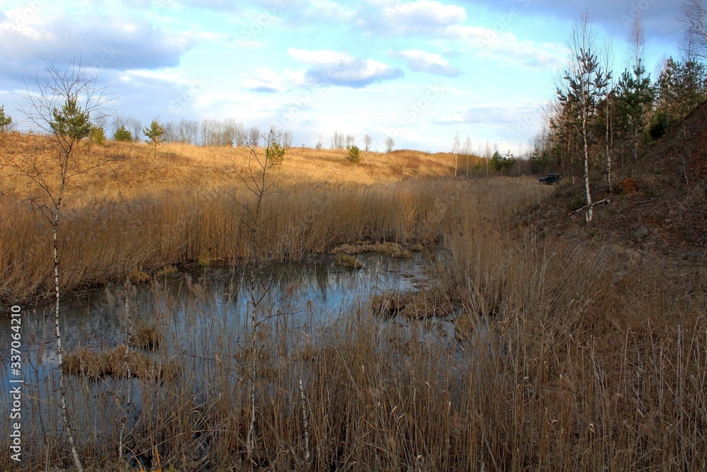 A unique image of the spring nature of central Russia in April