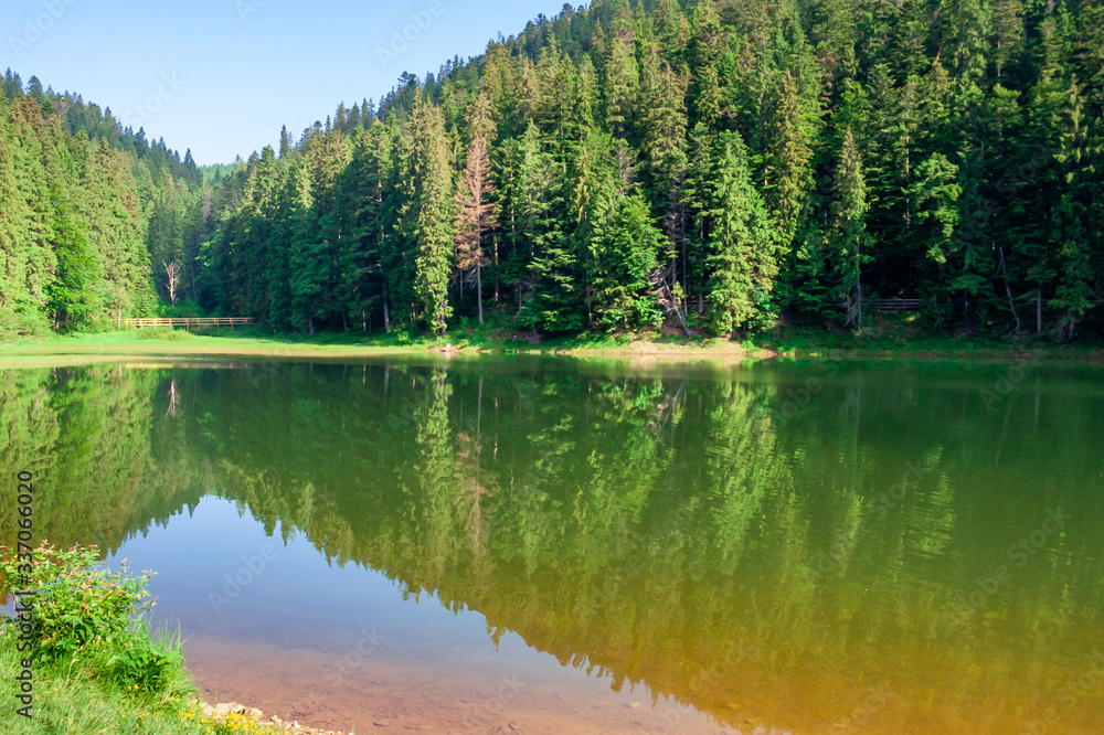 lake summer landscape. beautiful scenery among the forest in mountains