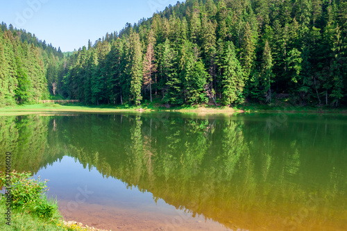 lake summer landscape. beautiful scenery among the forest in mountains