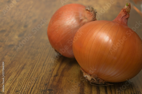 Onion with its natural skin from the Valencian garden of Spain.