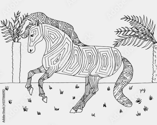 Horse for coloring book.