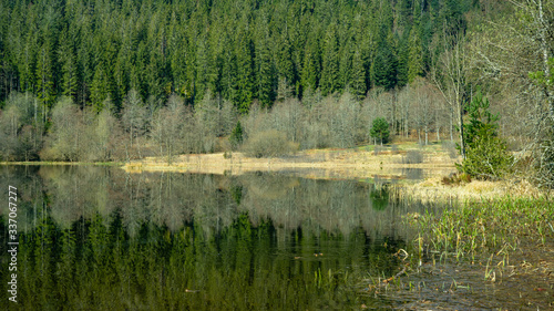 Schwarzwald Landschaft - Spiegelung des Waldes im wunderschönen Sankenbachsee ( Karsee )in Baiersbronn