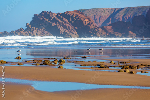 Seagulls on the seashore. Seagulls in the water with reflections. Beautiful seascape. Red rocky shore and white waves