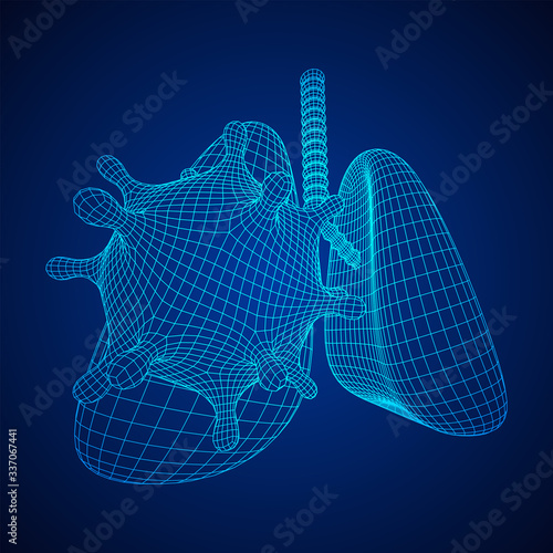 Corona Virus and Lungs with trachea bronchi internal organ human. Covid virus pulmonology medicine science concept. Wireframe low poly mesh vector illustration.