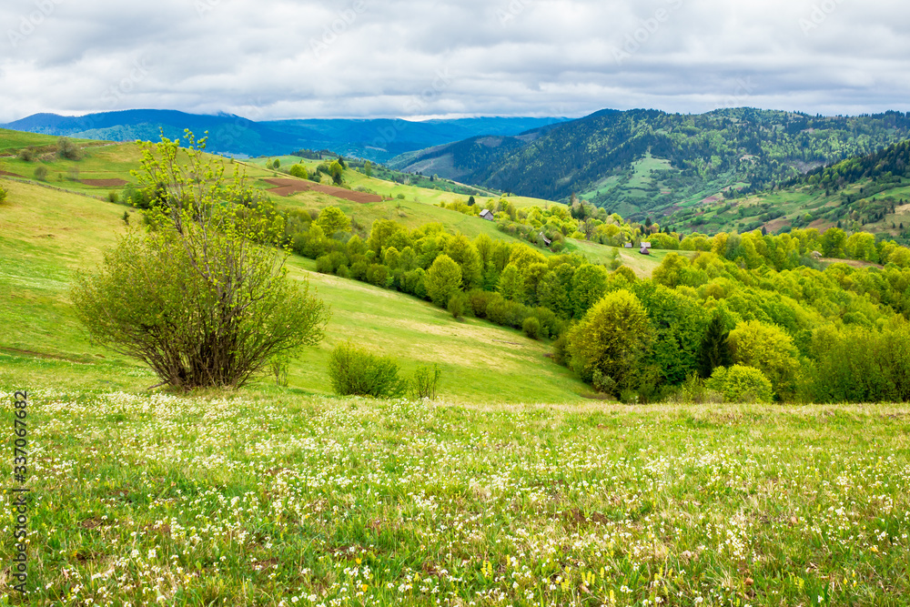 beautiful rural landscape of mountainous area. countryside scenery on a n overcast day in spring