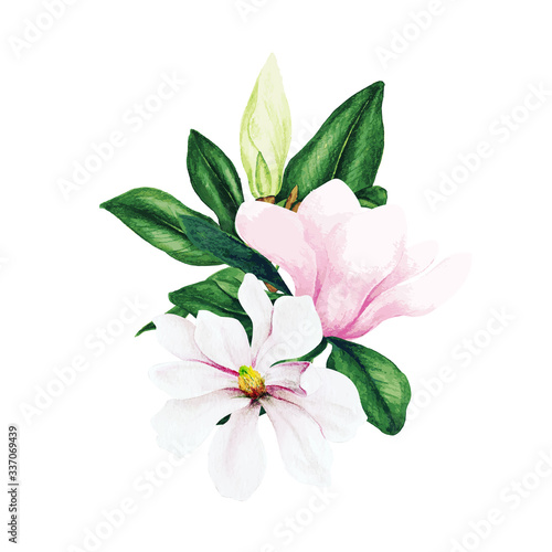 Magnolia and leaves, bright art, watercolor bouquet © nurofina