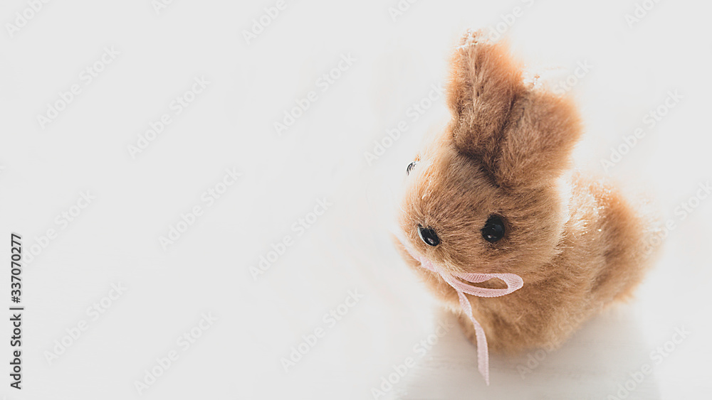 cute easter bunny on white background