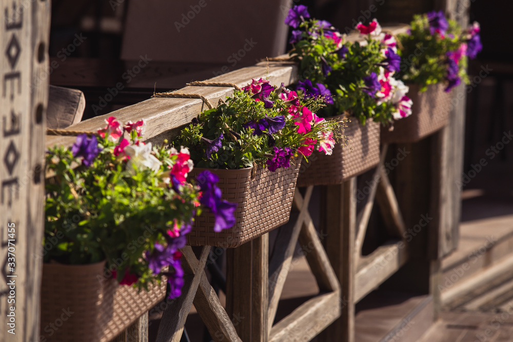 flowers in a wicker pot on the terrace of the restaurant outside