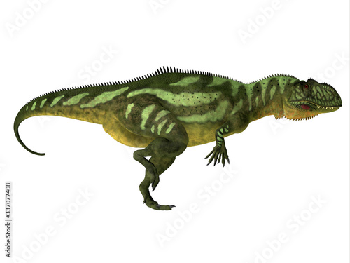 Yangchuanosaurus Dinosaur Side Profile - Yangchuanosaurus was a carnivorous theropod dinosaur that lived in China during the Jurassic Period. © Catmando