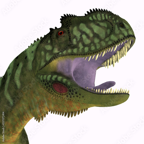 Yangchuanosaurus Dinosaur Head - Yangchuanosaurus was a carnivorous theropod dinosaur that lived in China during the Jurassic Period.