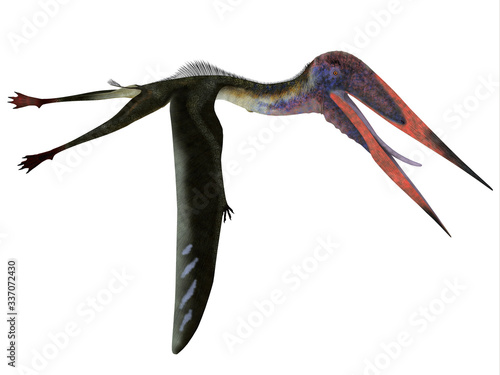 Zhejiangopterus Pterosaur Flying - Zhejiangopterus was a carnivorous Pterosaur reptile that lived in China during the Cretaceous Period.