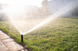 Close up of lawn irrigation. Automatic sprinkler system watering the lawn close-up.