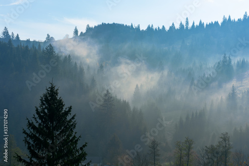 fog above the forest on the hill. mysterious foggy weather in the morning. fantastic mountain scenery