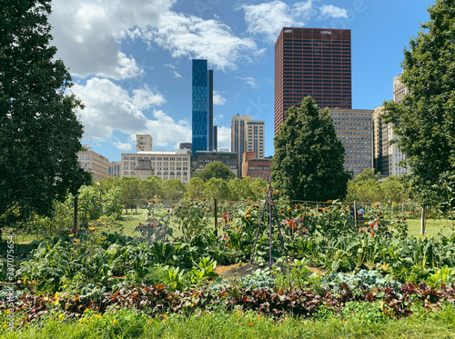 Photography Urban gardens in Downtown Chicago