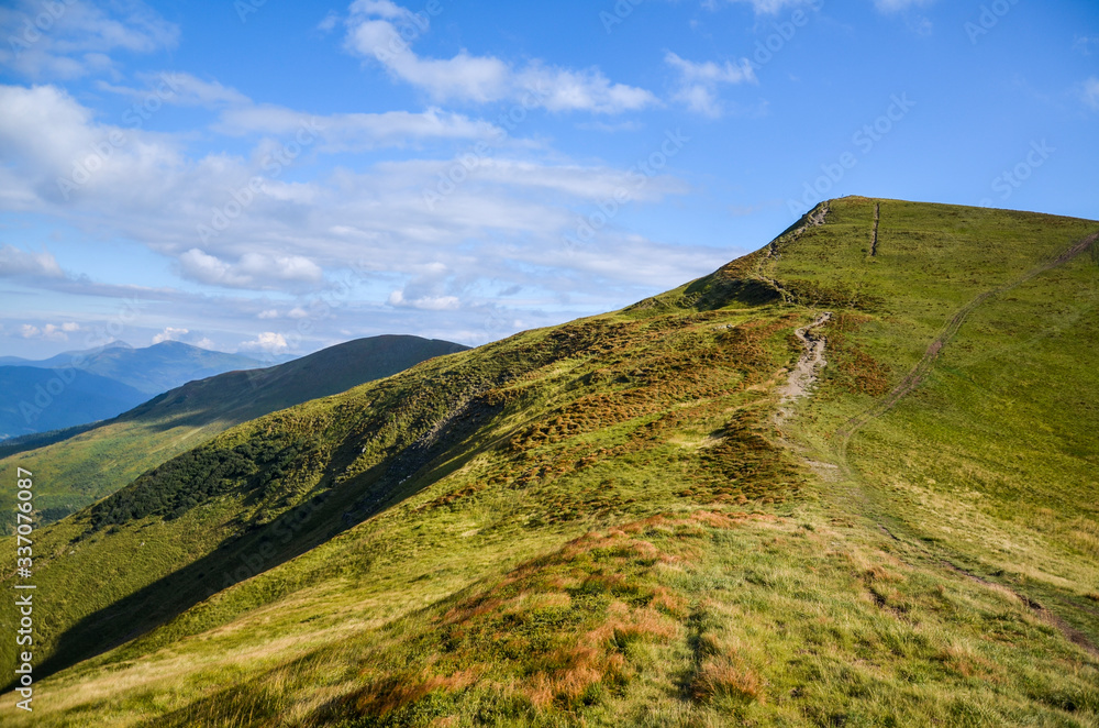 Hillsides, grassy meadow and green trees against scenic mountain backdrop beneath blue sky and white clouds. Svydovets ridge, Carpathian, Ukraine Hillsides, grassy meadow and green trees against scenic mountain backdrop beneath blue sky and white clouds. Svydovets ridge, Carpathian, Ukraine