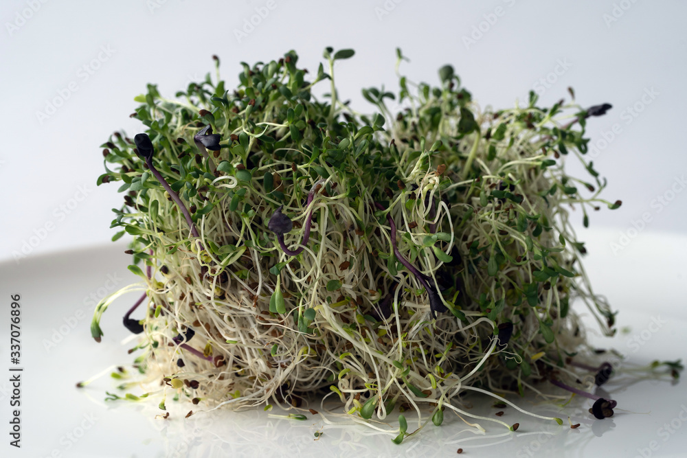 micro greens: the green sprouts on the white plate.
