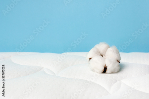 Cotton flowers on a comfortable mattress texture background top view. White texture of mattress bedding background. Healthy sleep concept, comfortable bed. Tender air background with cotton © olgaarkhipenko