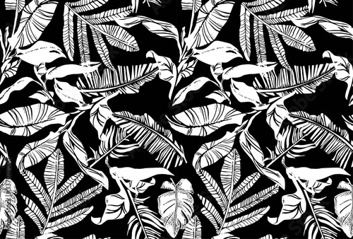 Vector seamless pattern with compositions of graphical tropical leaves, palm leaves,banana leavesand jungle plants.