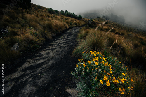 Rural road in Mexico photo