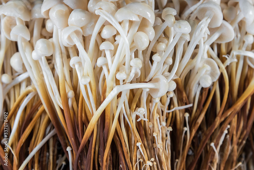 Enoki mushrooms photo