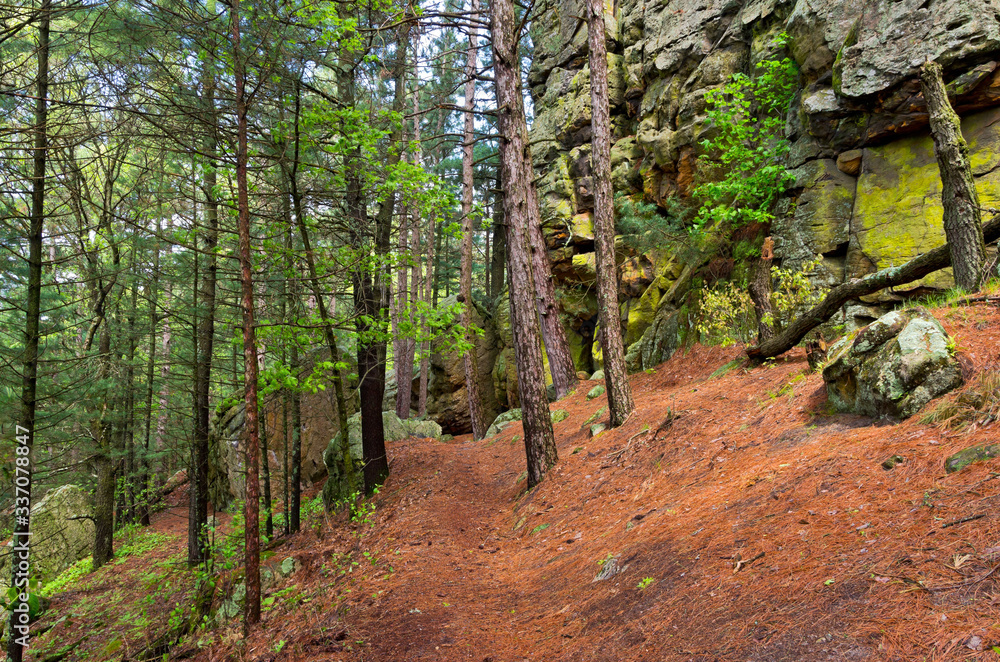 Fototapeta premium Forest trail and butte at castle mound