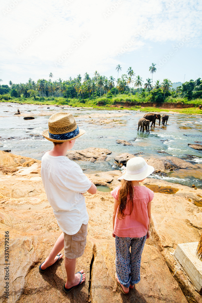 Kids watching elephants Kids watching elephants