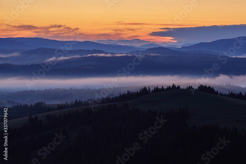 Fototapeta Naklejka Na Ścianę i Meble -  the Carpathian Mountains. Sunrise accompanied by morning fog