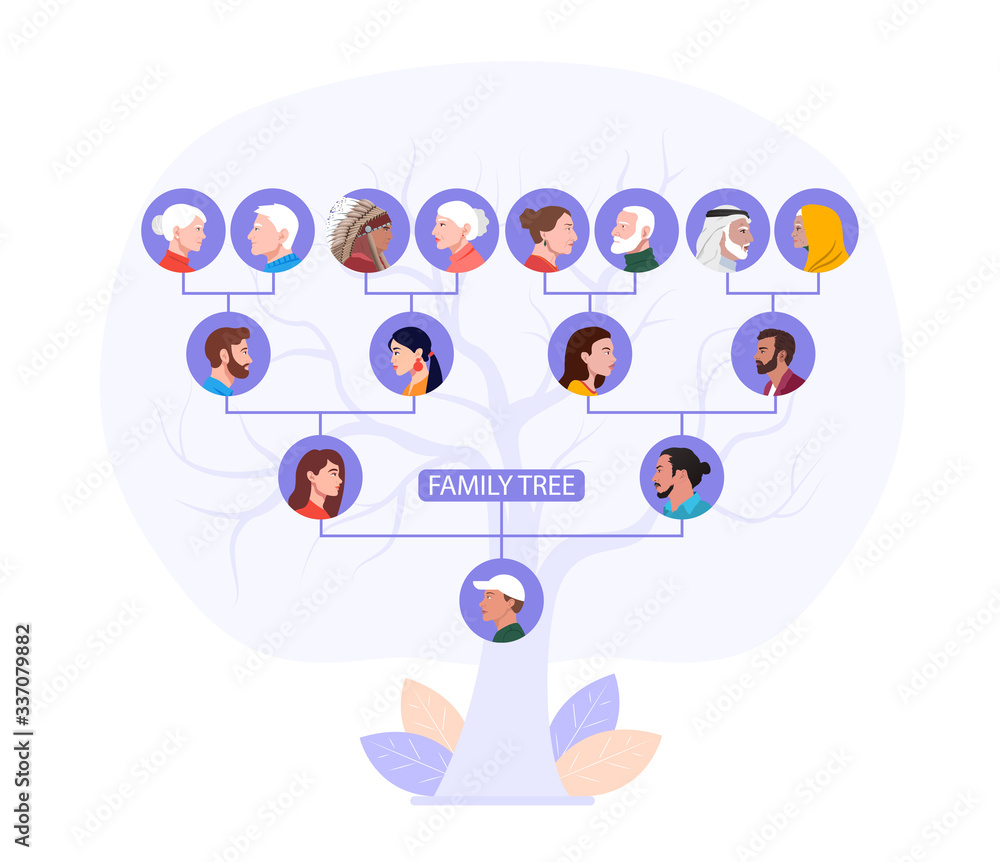 Stockvector Family tree of a single man showing his forefathers from