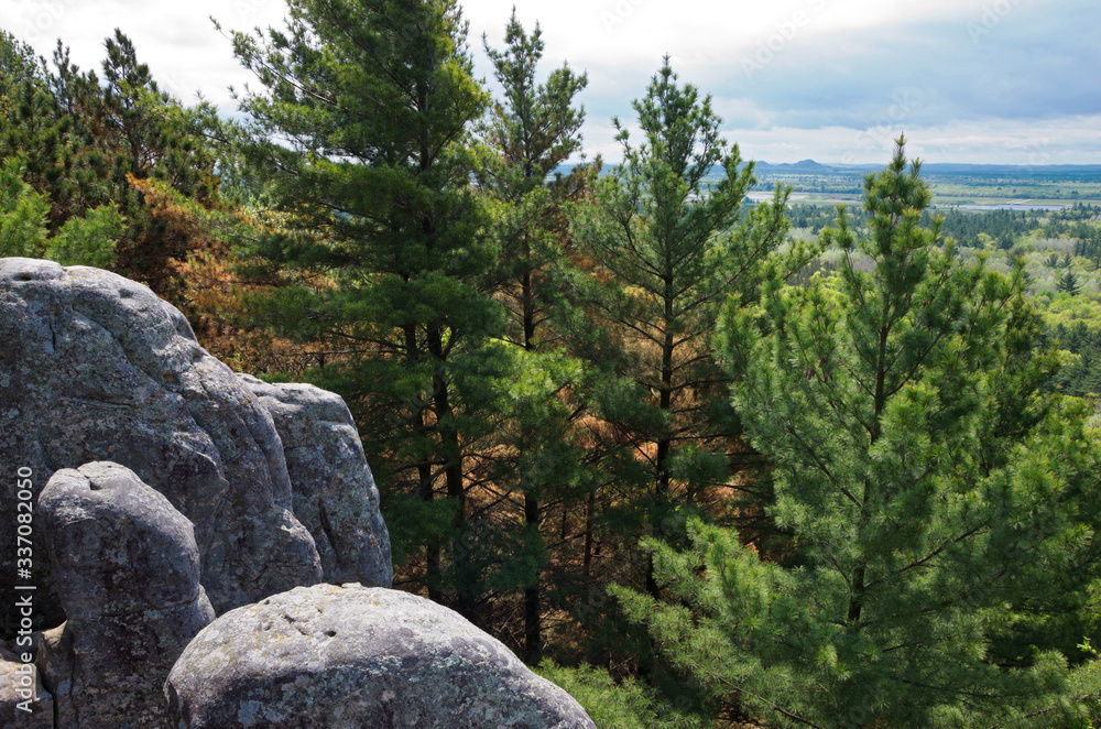 Forest valley overlook at castle mound Forest valley overlook at castle mound