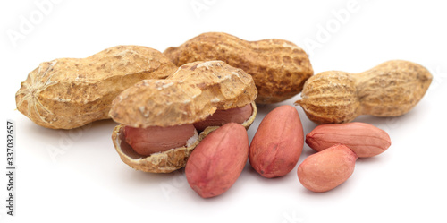 Wallpaper Mural Dried peanuts in shell. Torontodigital.ca