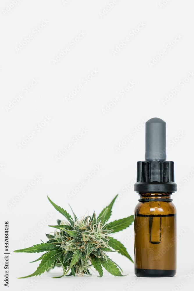 Close-up of hemp oil and marijuana buds. Medicinal extract oil in a bottle. Close-up of hemp oil and marijuana buds. Medicinal extract oil in a bottle.