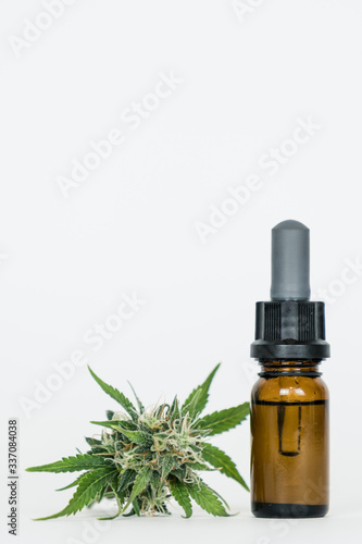 Close-up of hemp oil and marijuana buds. Medicinal extract oil in a bottle.