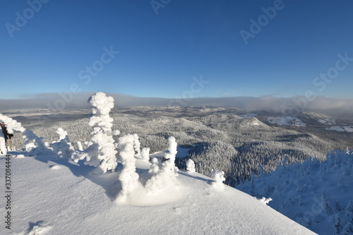 winter landscape with snow