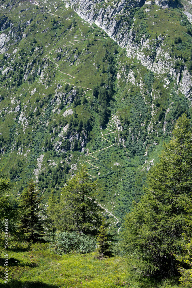 Tour du Mont Blanc TDMB trail leading up mountainside