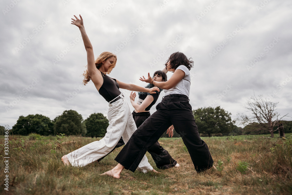 Group of expressive women dancing in field Group of expressive women dancing in field