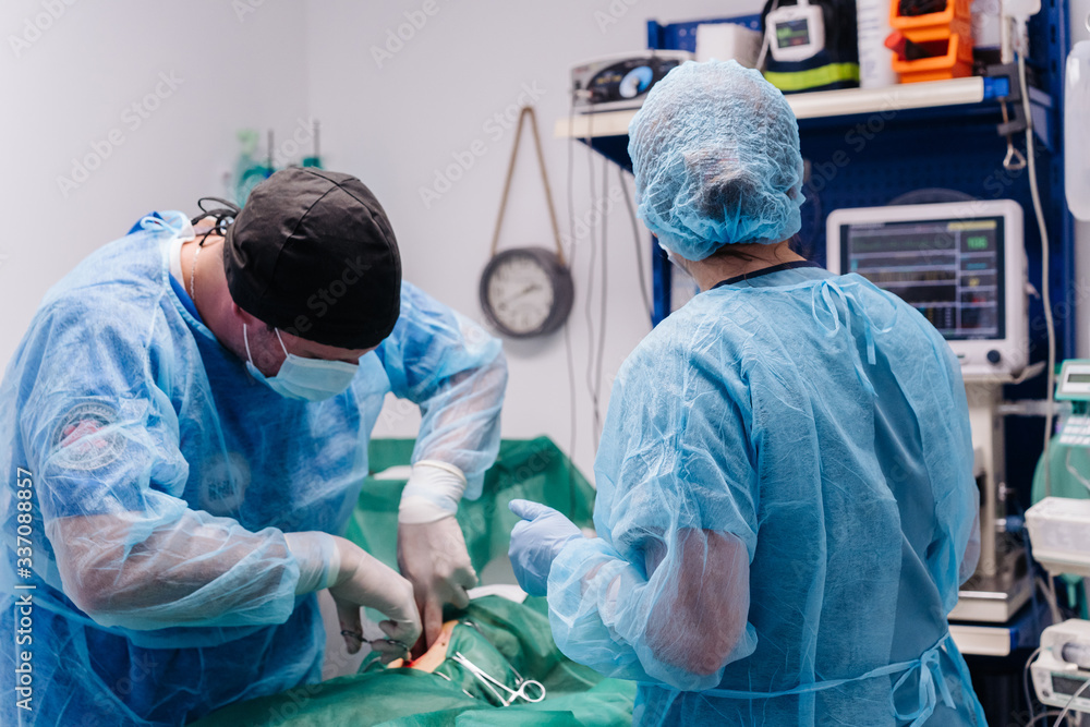 Surgery Of A Dog In A Veterinary Clinic. Surgery Of A Dog In A Veterinary Clinic.