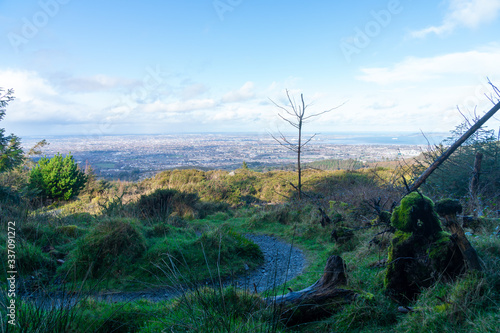 Stunning view of Dublin city and port from Ticknock, 3rock, Wicklow mountains. Gorse and forest plants in foreground during calm weather © Marcin