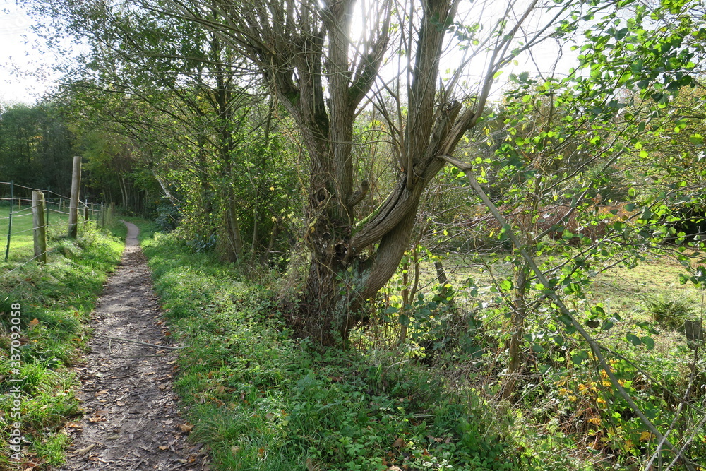 An der Koppel An der Koppel