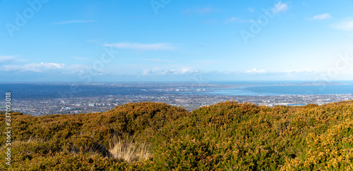 Stunning panoramic view of Dublin city and port from Ticknock, 3rock, Wicklow mountains. Gorse and forest plants in foreground during calm weather