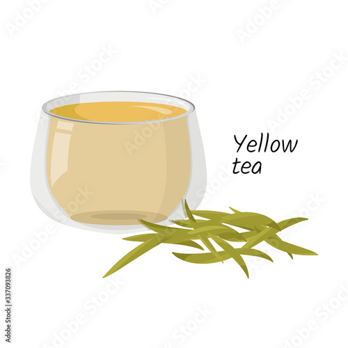 Hot yellow tea in glass cup and a handful of tea isolated on white background. Vector drink illustration.