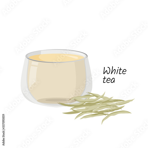 Hot white tea in glass cup and a handful of tea isolated on white background. Vector drink illustration.