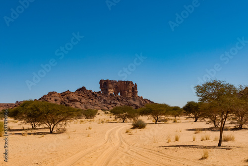 Natural rock formation and desert vegetation - dry grass and low trees, Sahara desert, Chad, Africa